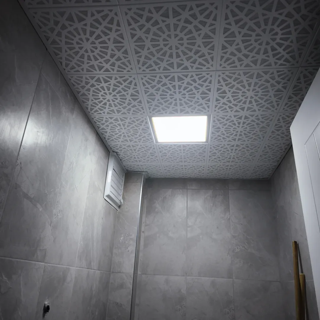 Lay-in Tavan Ankara galeri görseli 3